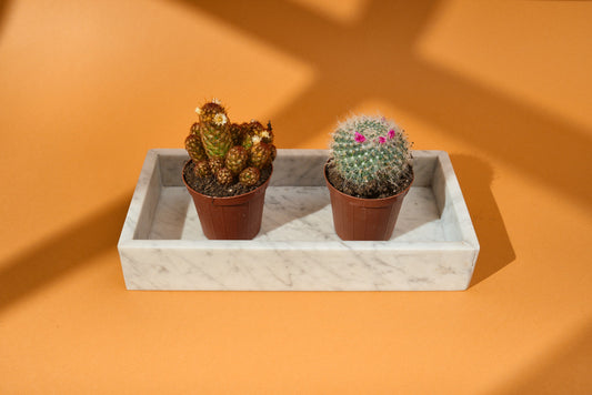 Svuotatasche in Marmo di Carrara